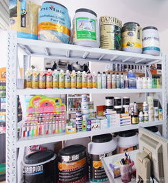 專業代理，創意設計——森煌寵物用品有限公司，您的最佳商業伙伴